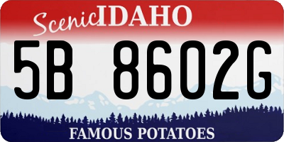 ID license plate 5B8602G