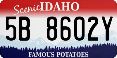 ID license plate 5B8602Y