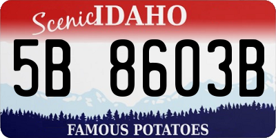ID license plate 5B8603B