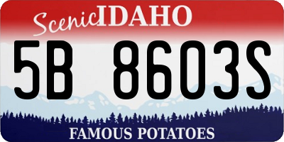 ID license plate 5B8603S