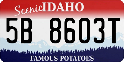ID license plate 5B8603T