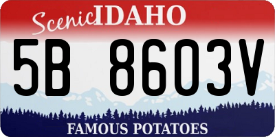 ID license plate 5B8603V