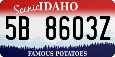 ID license plate 5B8603Z