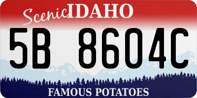 ID license plate 5B8604C