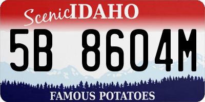ID license plate 5B8604M