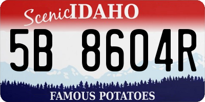 ID license plate 5B8604R