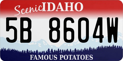 ID license plate 5B8604W