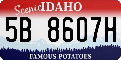 ID license plate 5B8607H