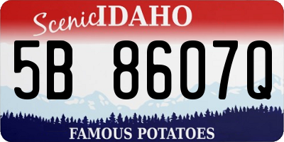ID license plate 5B8607Q