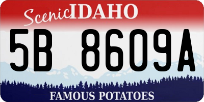 ID license plate 5B8609A