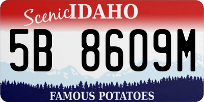 ID license plate 5B8609M