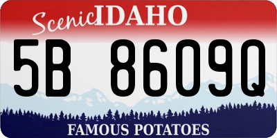 ID license plate 5B8609Q