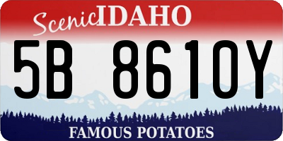 ID license plate 5B8610Y