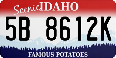 ID license plate 5B8612K