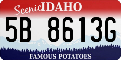 ID license plate 5B8613G