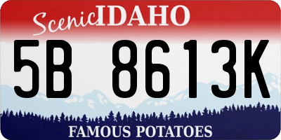 ID license plate 5B8613K