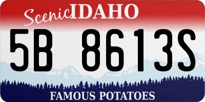 ID license plate 5B8613S