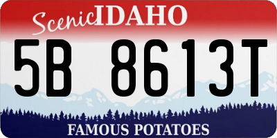 ID license plate 5B8613T