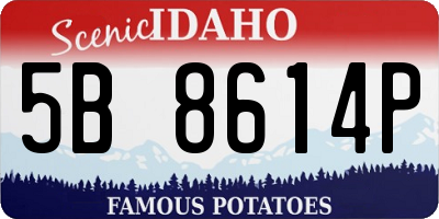 ID license plate 5B8614P