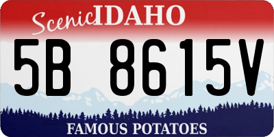 ID license plate 5B8615V