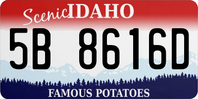 ID license plate 5B8616D