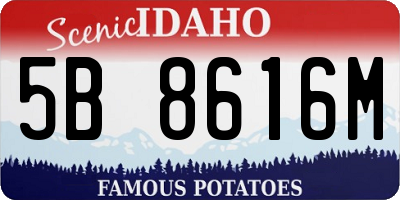 ID license plate 5B8616M