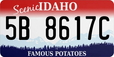 ID license plate 5B8617C