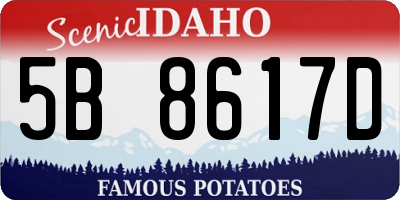 ID license plate 5B8617D