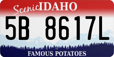 ID license plate 5B8617L