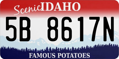 ID license plate 5B8617N