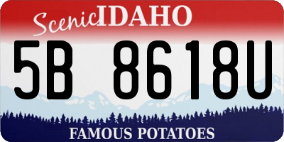 ID license plate 5B8618U