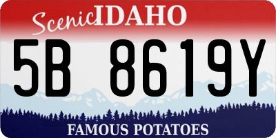 ID license plate 5B8619Y