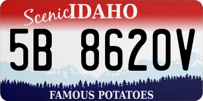 ID license plate 5B8620V