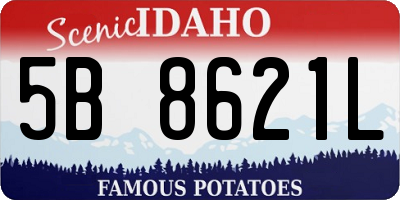 ID license plate 5B8621L