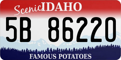 ID license plate 5B8622O
