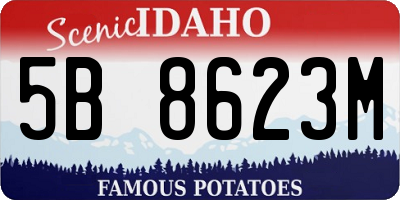 ID license plate 5B8623M
