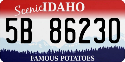 ID license plate 5B8623O