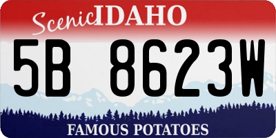 ID license plate 5B8623W