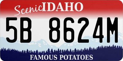 ID license plate 5B8624M