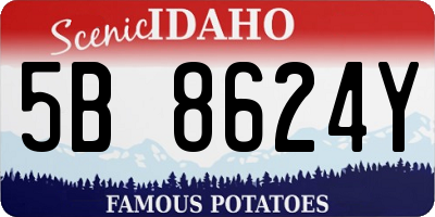 ID license plate 5B8624Y