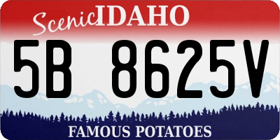 ID license plate 5B8625V