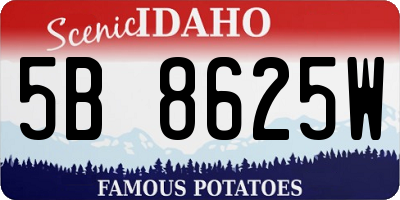 ID license plate 5B8625W
