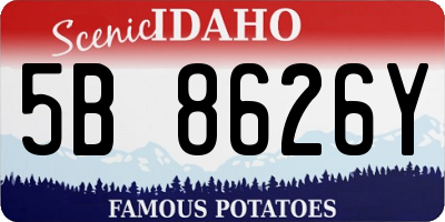 ID license plate 5B8626Y