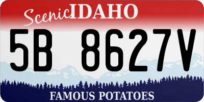 ID license plate 5B8627V