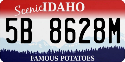 ID license plate 5B8628M