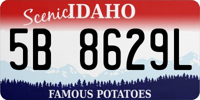 ID license plate 5B8629L