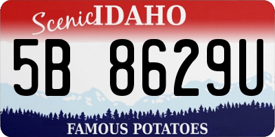 ID license plate 5B8629U