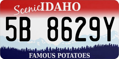 ID license plate 5B8629Y