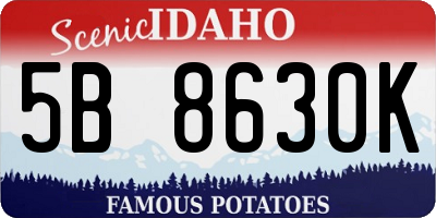 ID license plate 5B8630K