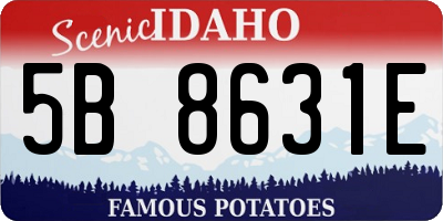 ID license plate 5B8631E
